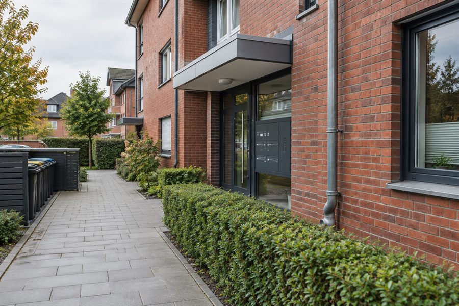 Eingangsbereich eines Mehrfamilienhauses aus rotem Klinker: gekehrter Plattenweg, geschnittene Ligusterhecke, eingehauster Müllplatz und Fallrohr an der Fassade